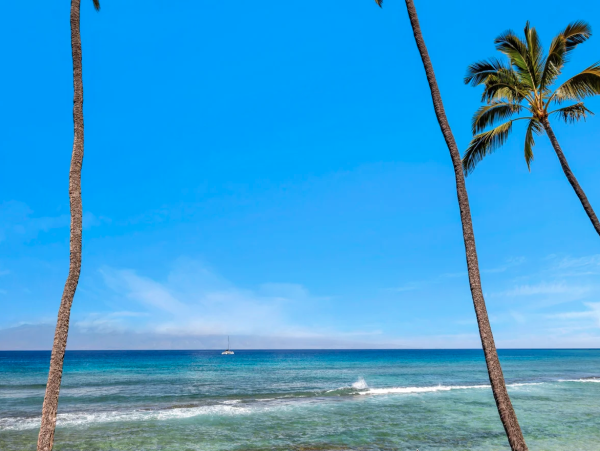 Kaanapali  Maui Condo 1096013